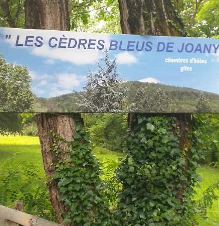 Cedres Bleus De Joany Chez Nathalie Viviez Exterior foto