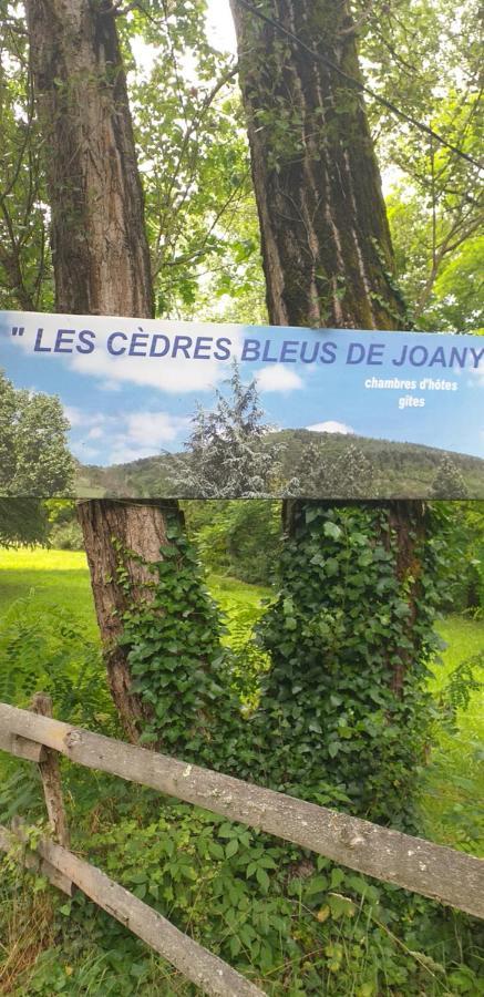 Cedres Bleus De Joany Chez Nathalie Viviez Exterior foto
