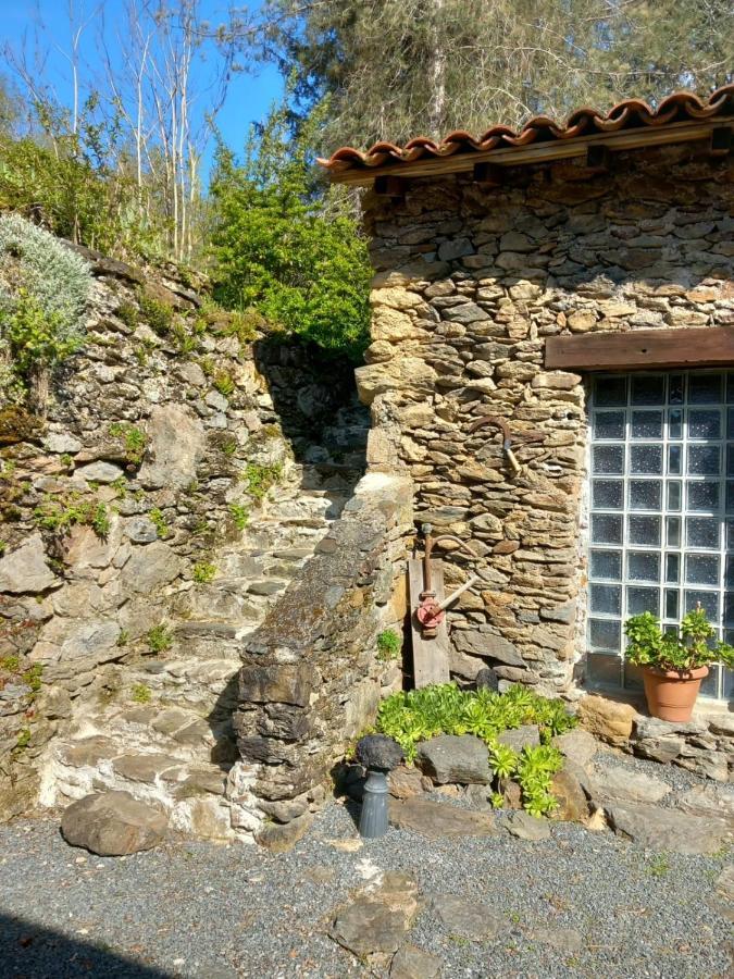Cedres Bleus De Joany Chez Nathalie Viviez Exterior foto