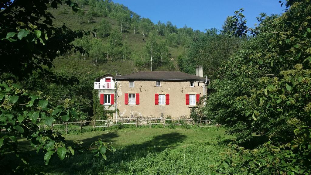 Cedres Bleus De Joany Chez Nathalie Viviez Exterior foto